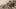 Video Platzhalter Video Platzhalter